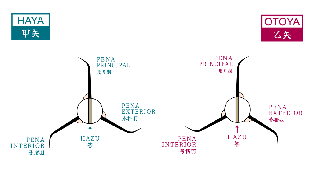 Diagrama descrevendo o par de flechas Haya e Otoya