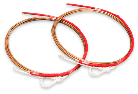 Fotografia de dois fios (tsuru)