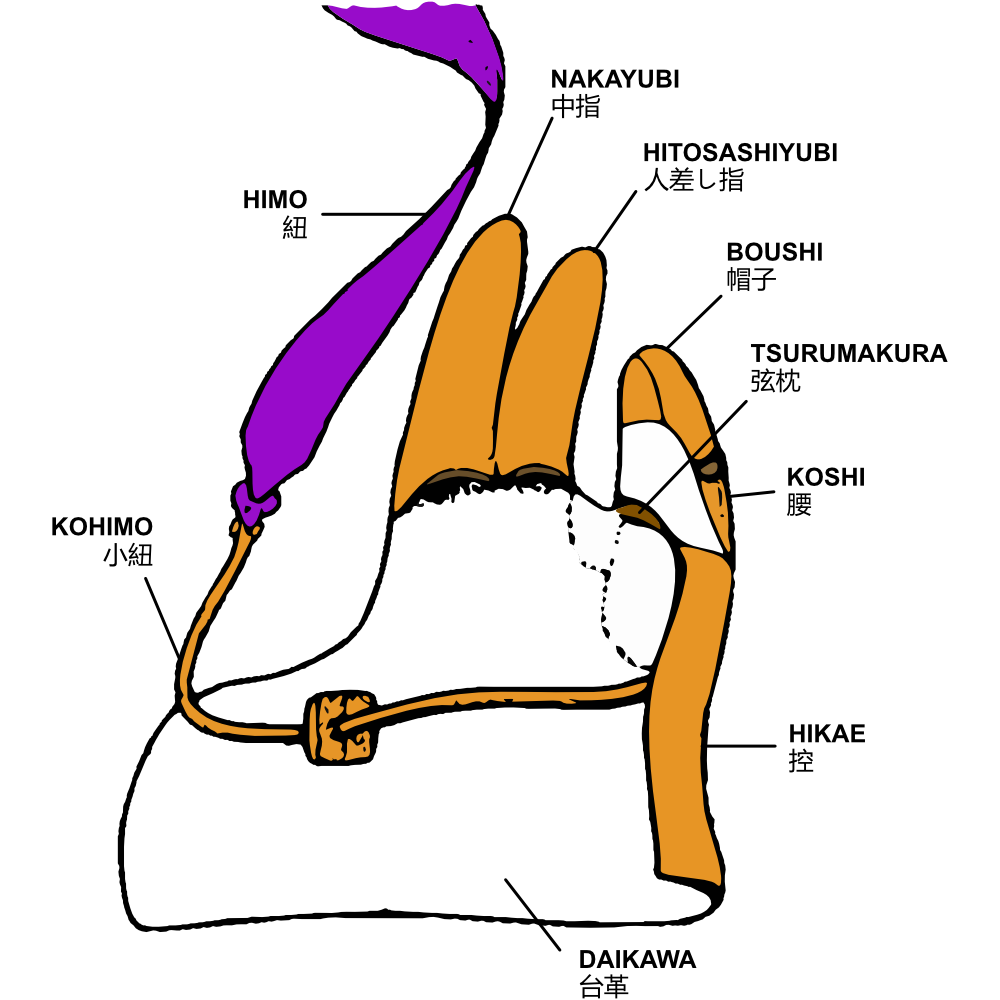 Diagrama descrevendo as diferentes partes de uma luva